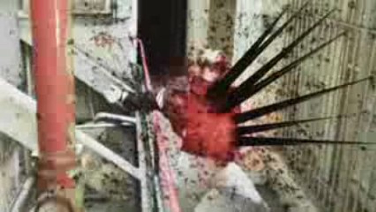 Cool_animation