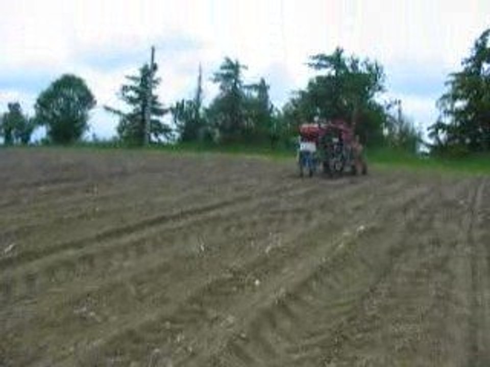 MVI_4362