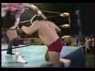 Bret Hart vs Wahoo McDaniel