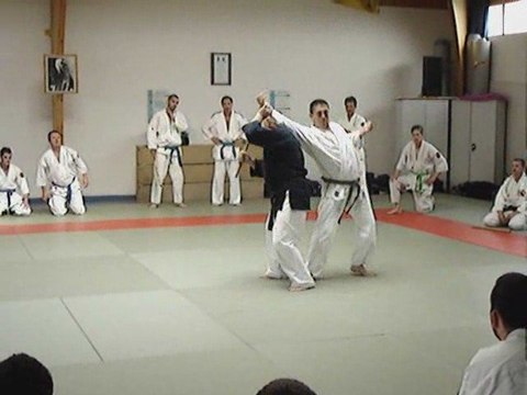 Nihon Tai Jitsu - Gusti - Tanbo jutsu -étranglement