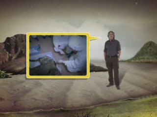 Bebe Mamut por National Geographic