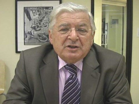 Michel Guerry, Sénateur des Français établis hors de France