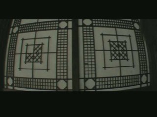 The last of the never die birds