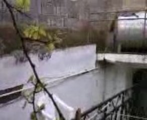 Fille d ali ou kassian