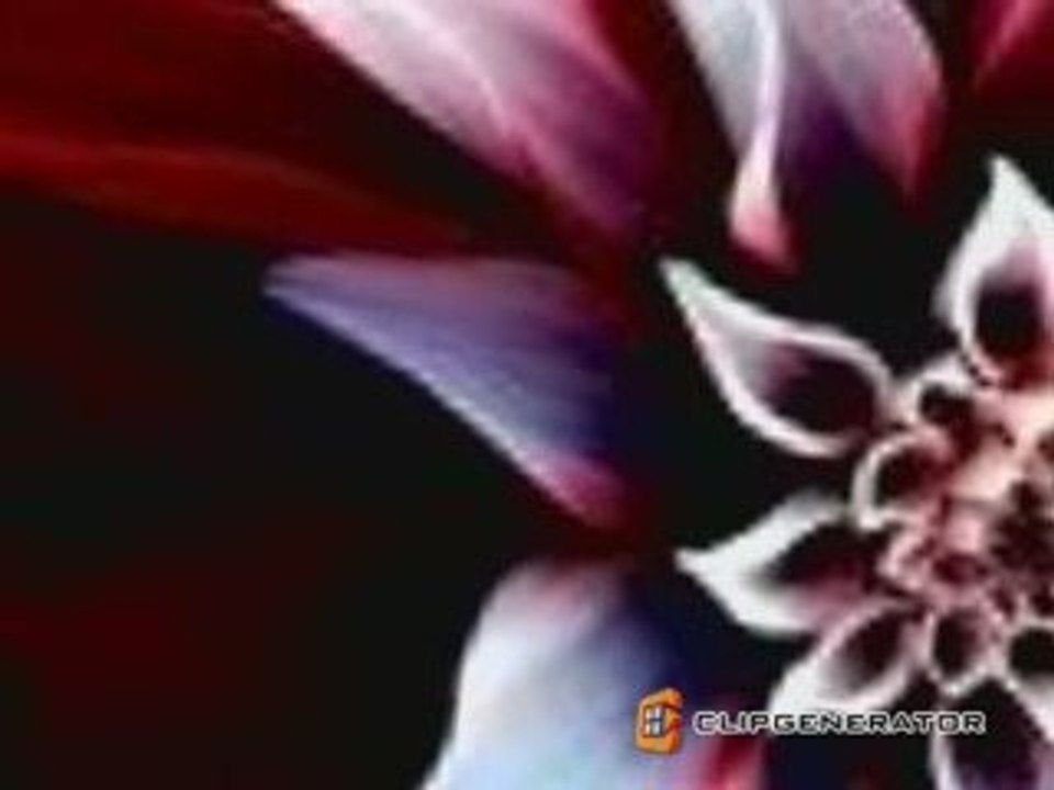 Wonders on Earth