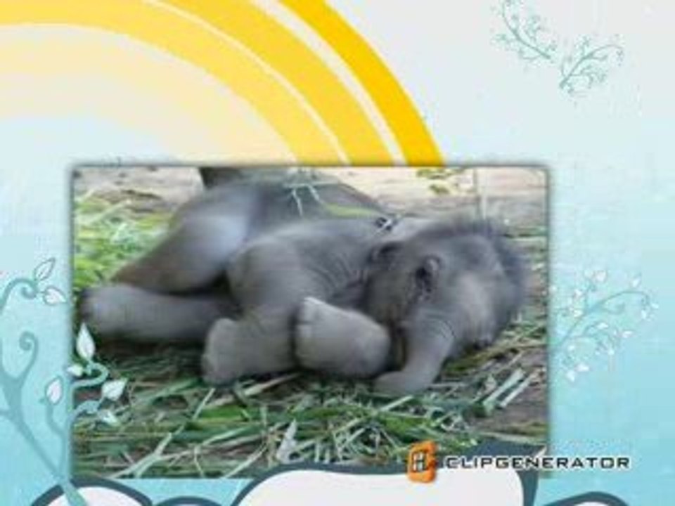 Cute really..........
