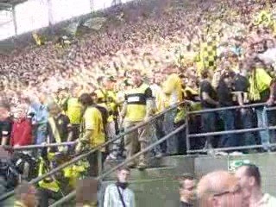 Bvb dortmund