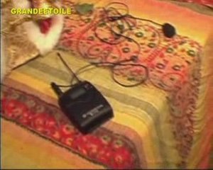 1X2 # T.A.P.S les créatures de l'ombre