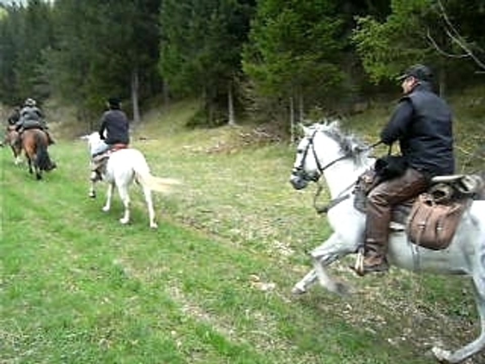 galop !! dans le vercors !!!
