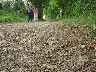 Deux Richemonnaises perdu dans la forêt