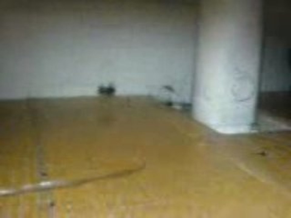 MOV00002