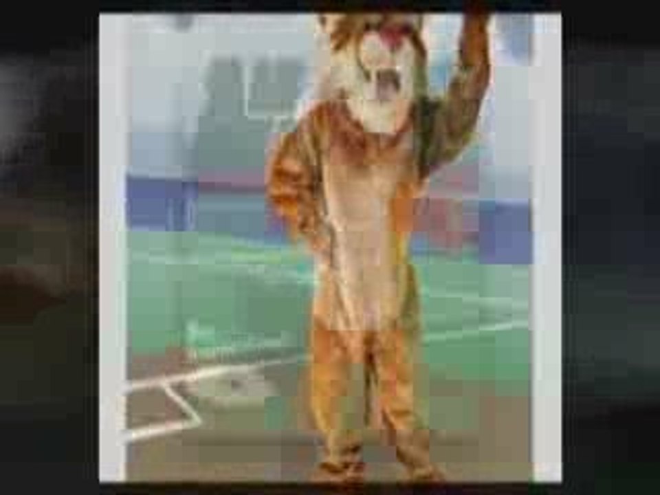 Mascot Costumes