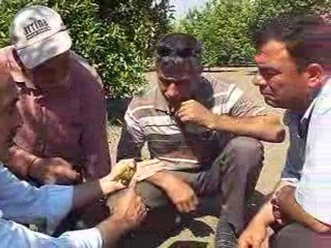 Dalaman ilçe Tarım Müdürlüğü