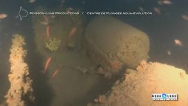 PLONGEE TEK: épave du Silver Wings à Antibes en eCCR trimix