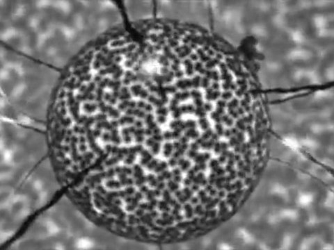 Sous le feu des ondes