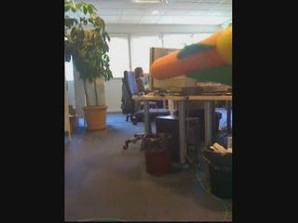 Assassinat_François