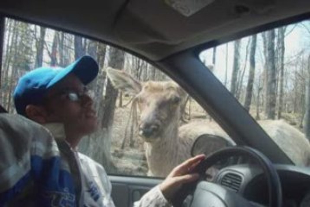 PARC OMEGA