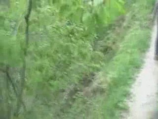 4 sur l'étroit chemin