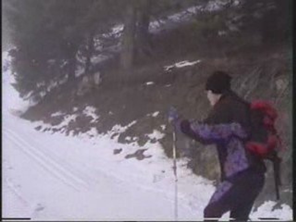 Skating_seb
