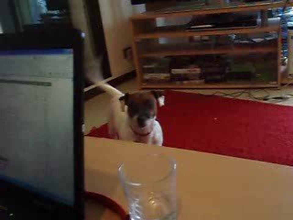 cody et dely bruitage....