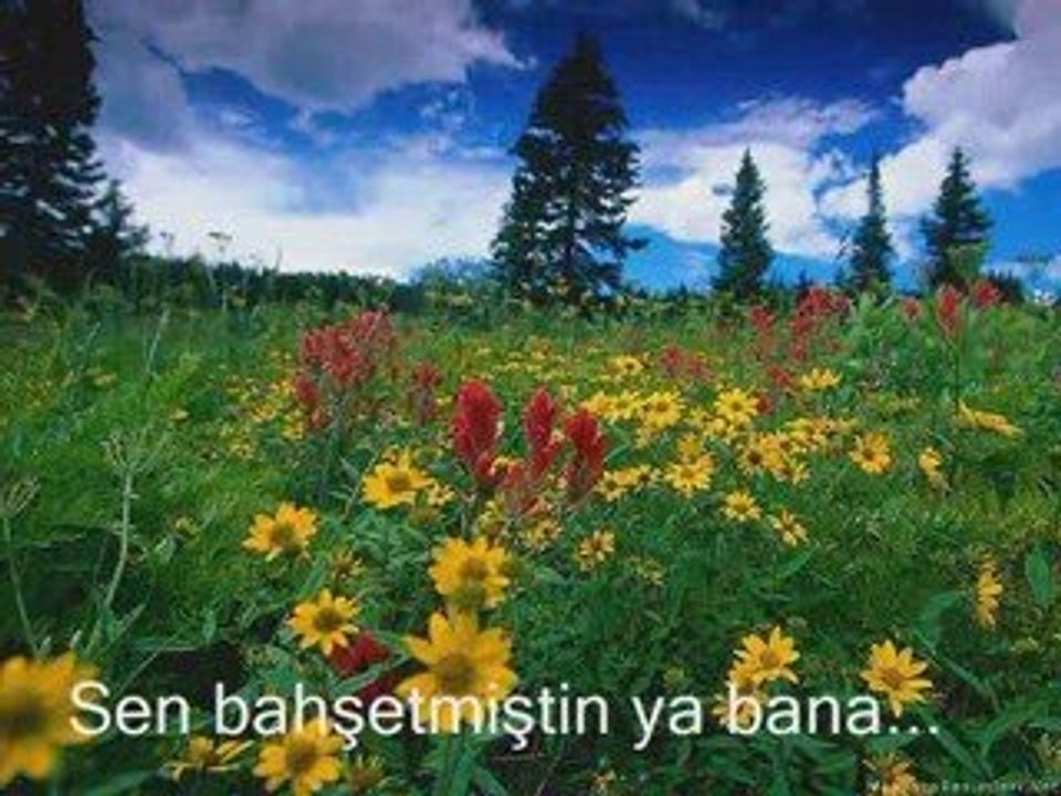 Affeyle(Senai Demirci)