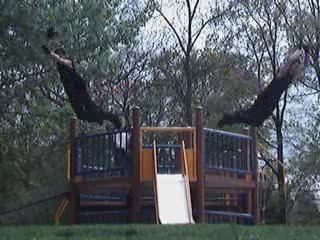 parkour avec accro $PJ