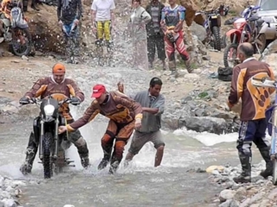 L'ours des dunes - Maroc 2009