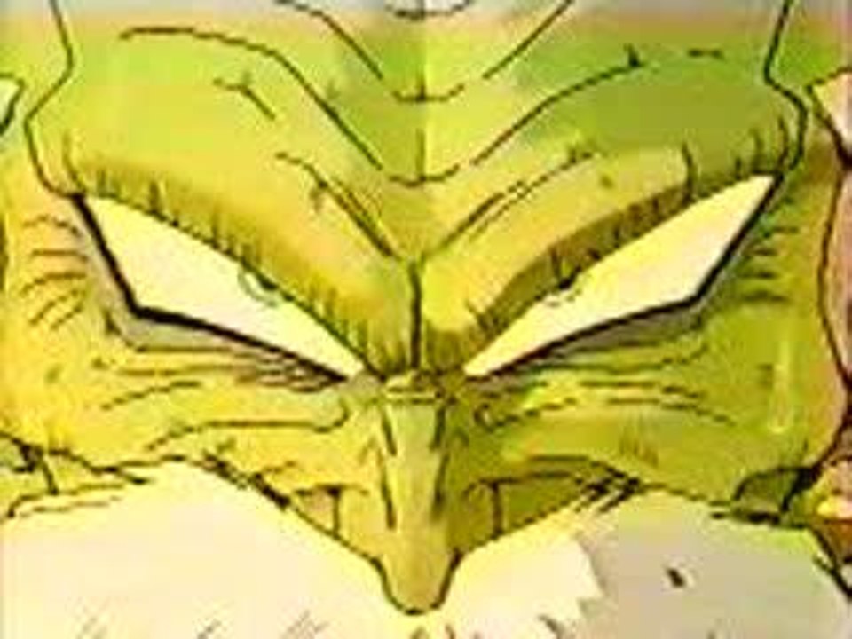 piccolo vs docteur gerot