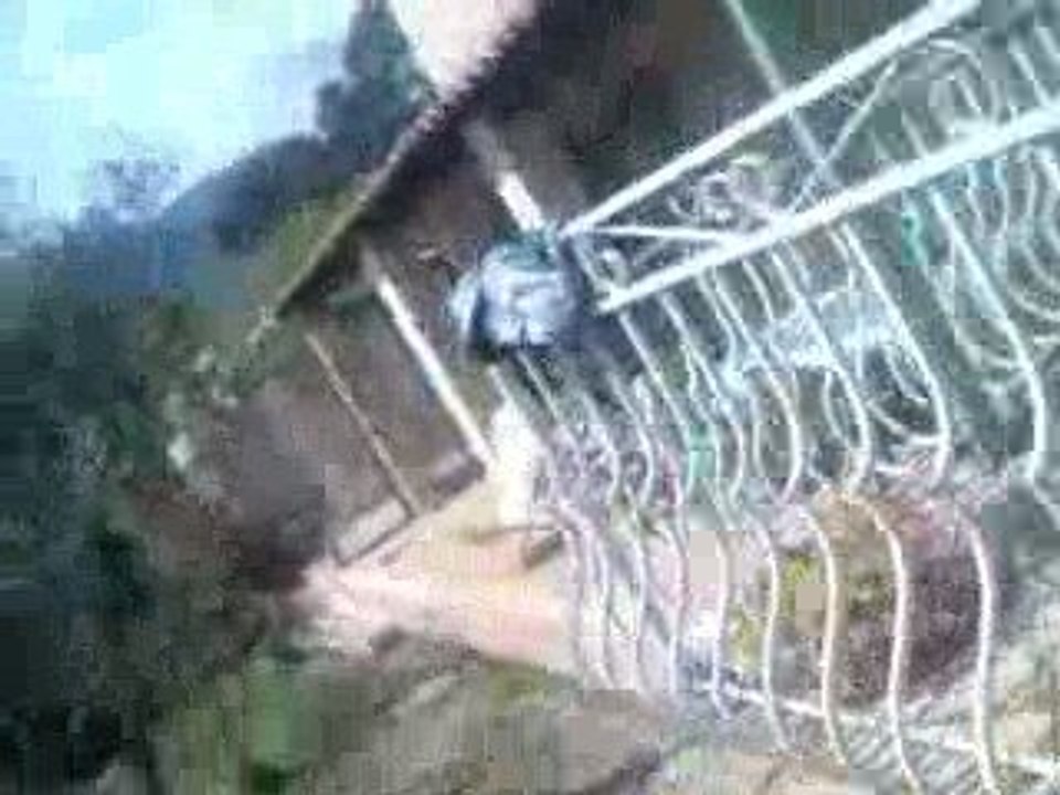 Adam piscine chz moi