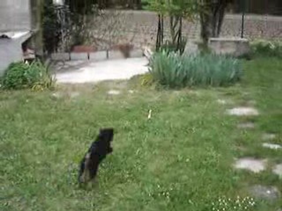 MOV01890