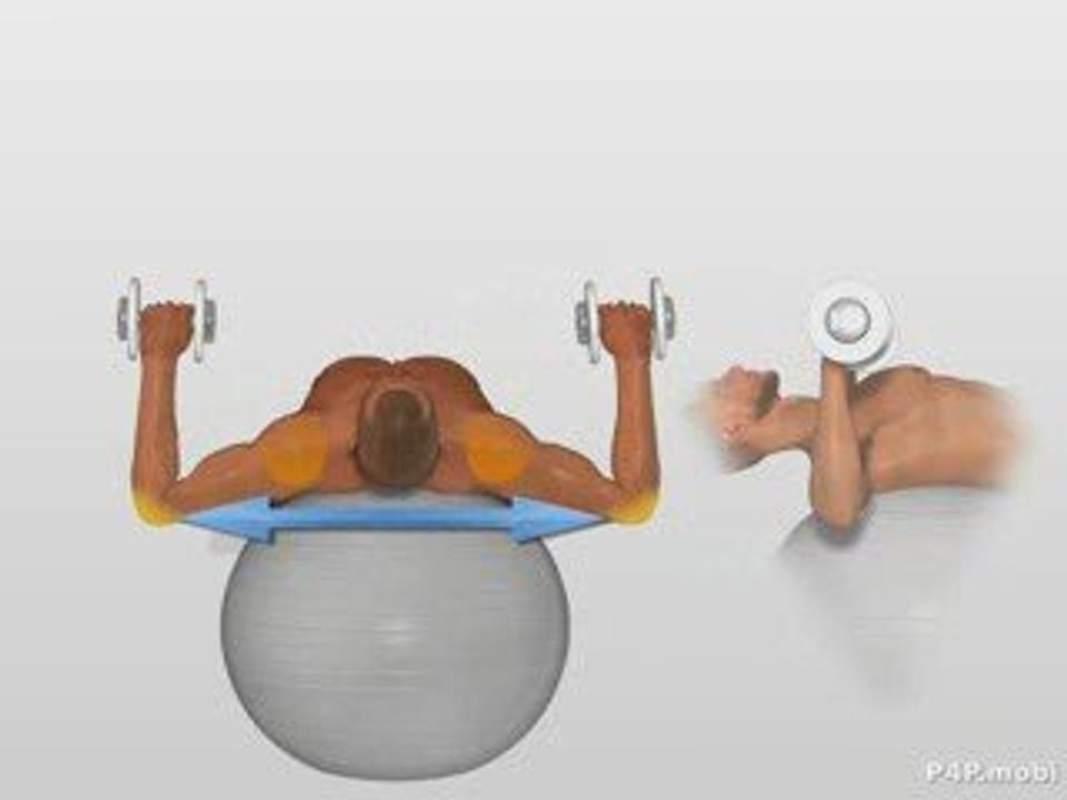 Dumbbell Chest Press On Ball Exercise