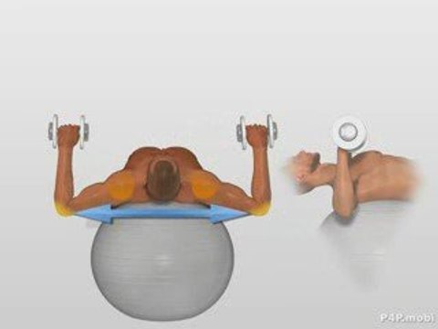 Dumbbell Chest Press On Ball Exercise