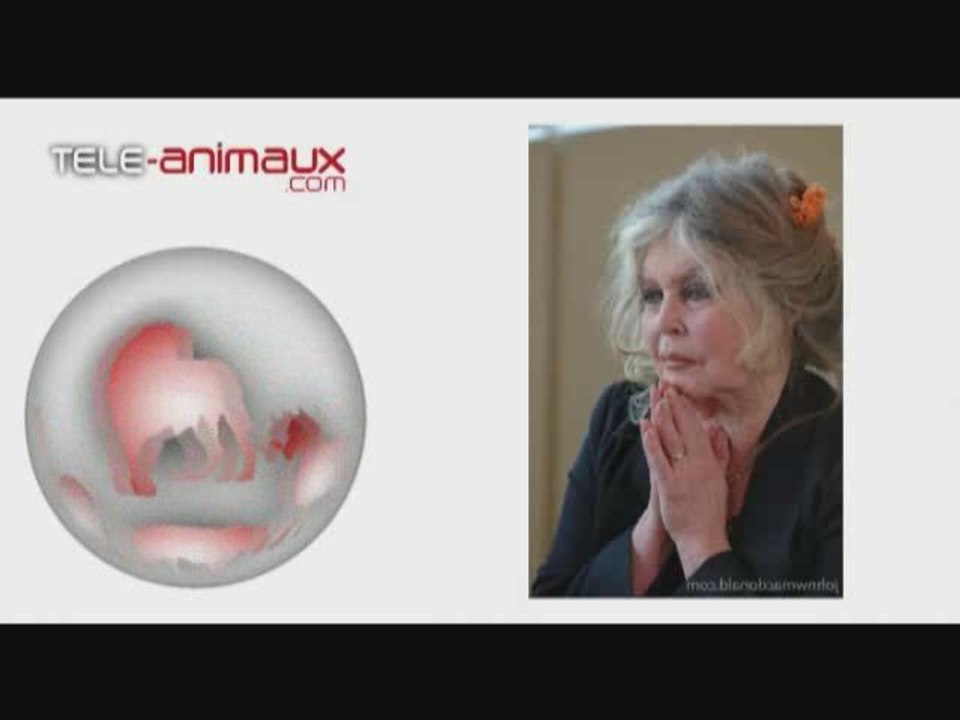 Journal Télévisé du 15 Mai 2009