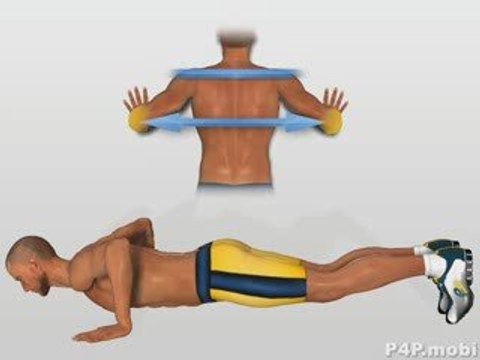 Musculos Pectorales Flexiones Explosivas