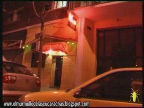 PRIMER VIDEO DE LOS MURMULLOS DE CUCARACHAS