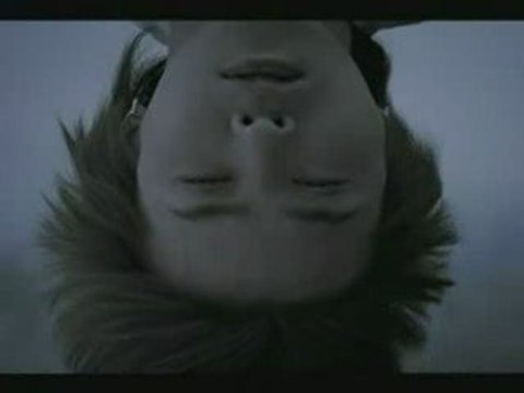 GDragon & SeungRi - 2% CF Type A (15s)