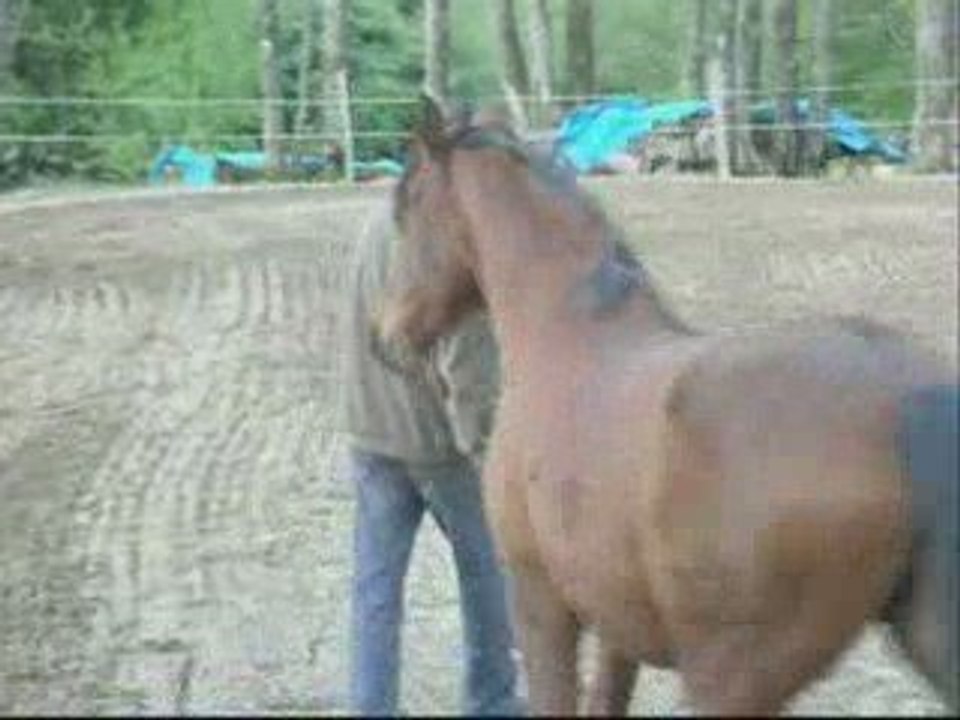 PAS ESPAGNOL LIBERTE 2009