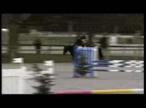 Amsterdam cheval concours obstacle