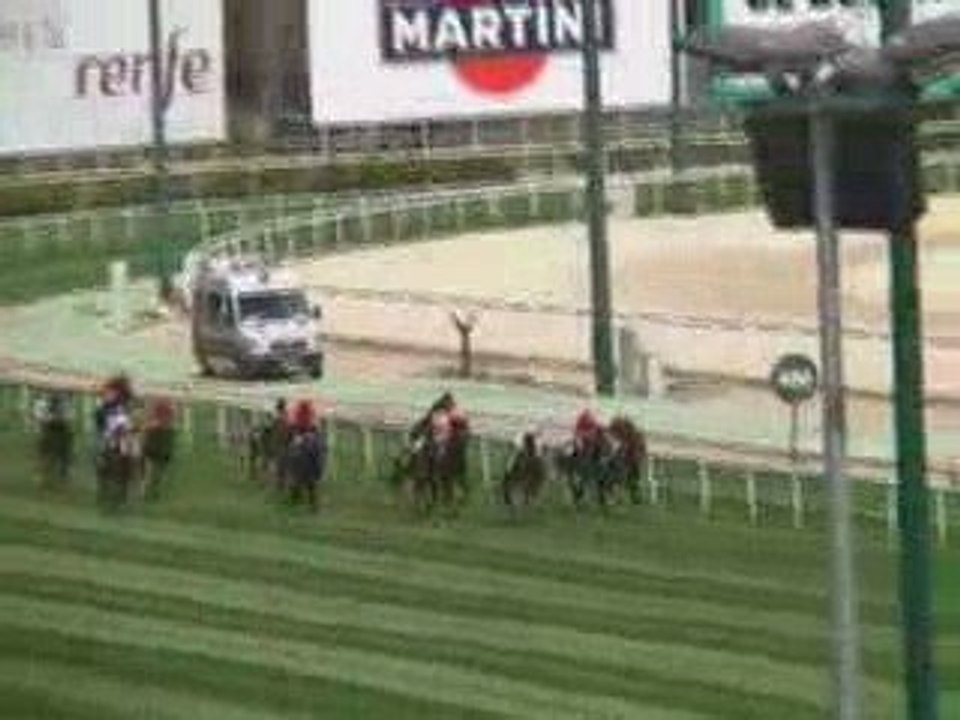 2009 (107) Premio SERIAL (H) (CAT POLLY -IRE-)