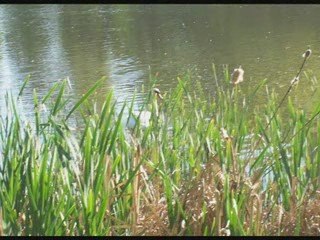 Park _ Solacki __w romantycznej sceneri_ na moich _fotkach