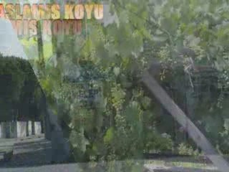 BASLAMIS KOYU ERZIN HATAY