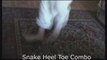 cwalk Snake Heel Toe Combo