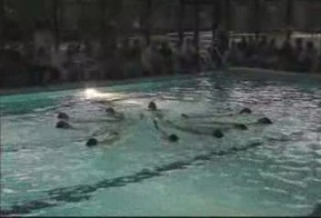 Équipe estelle 2008