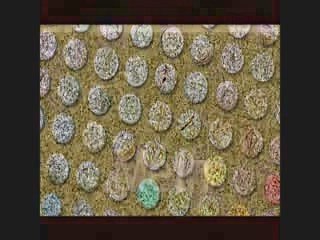 NARCONON Georgia Douglas Co drug lecture.