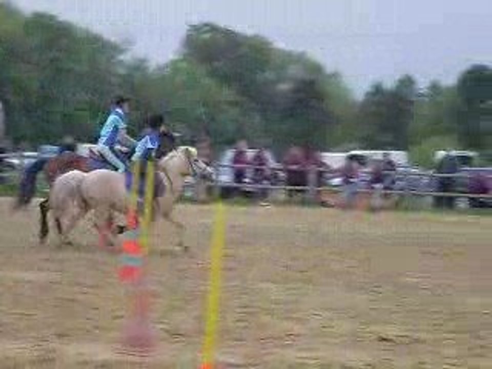 Corde le 8 mai 2009 pony games