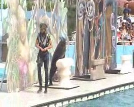 Spectacle des otaries(6)