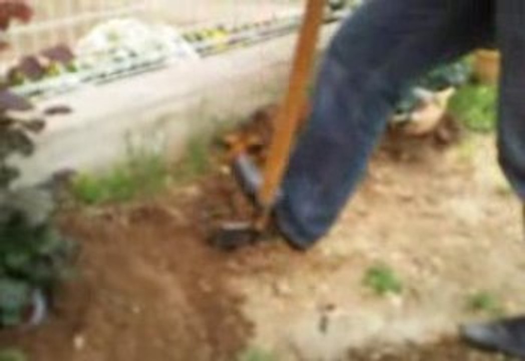 Dony jardin3
