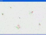 Interactive Programmed Particles System 2