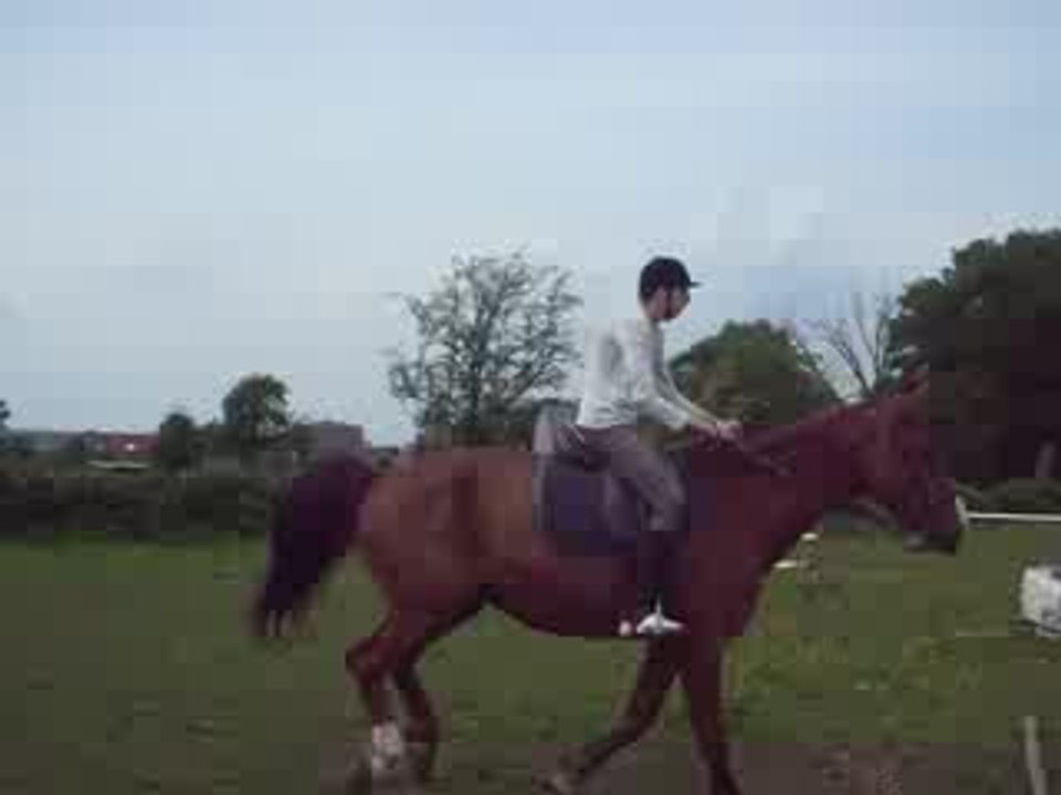 Zodry et JC