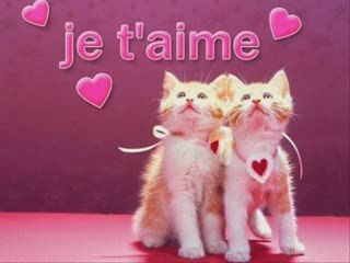 Pour ma tit soeur